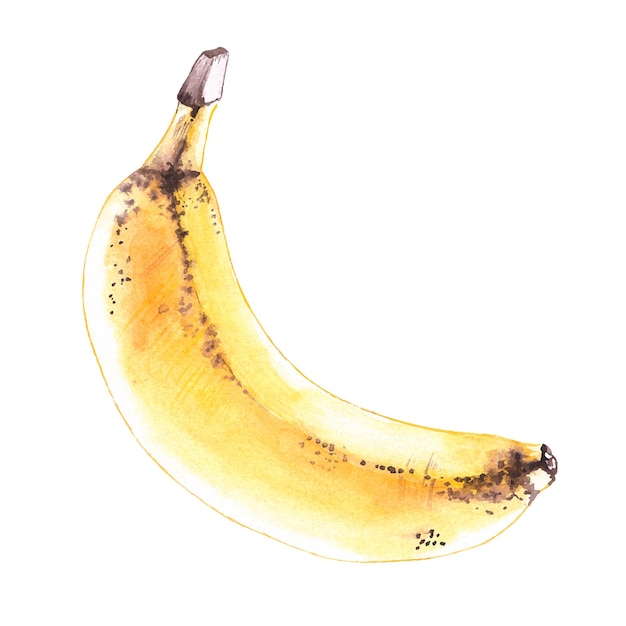 Banana acquerello