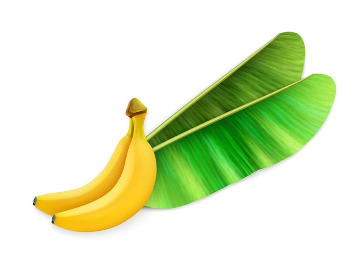 Vettore banane frutta e foglie cibo biologico tropicale 3d realistico