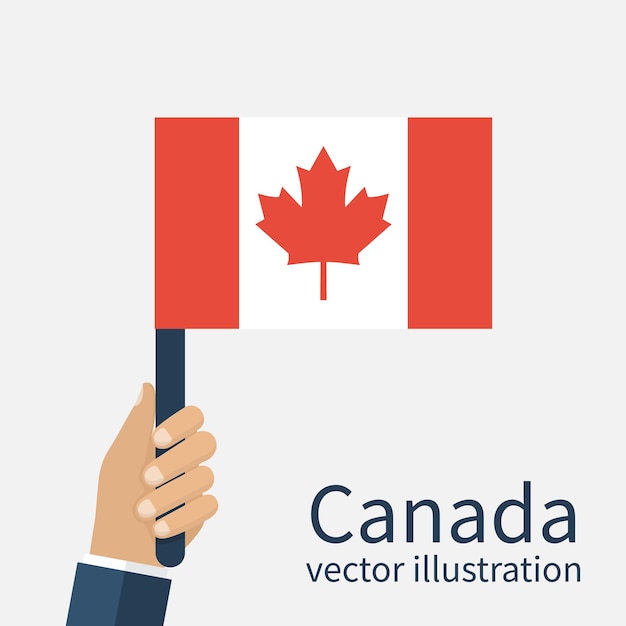 Bandiera canadese che tiene nelle mani degli uomini. Giorno del Canada. Illustrazione vettoriale, design piatto. Mano isolata con una bandiera canadese sullo sfondo.