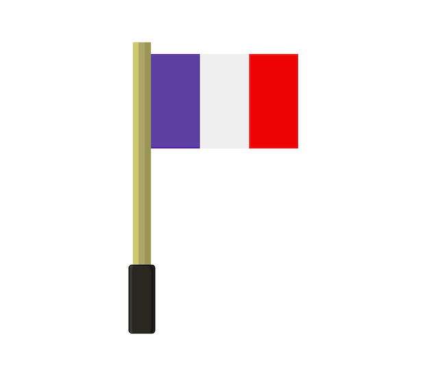 Bandiera della Francia