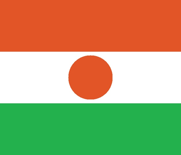 Bandiera della nazione bandiera del Niger