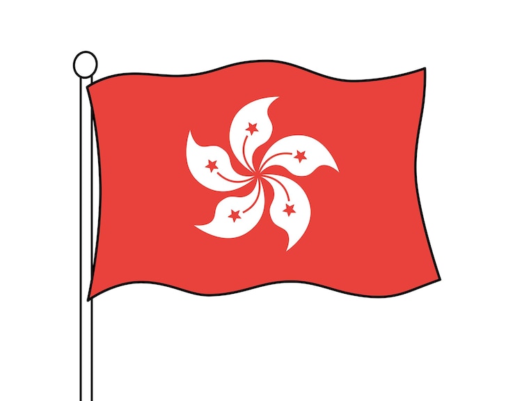 Vettore bandiera di hong kong