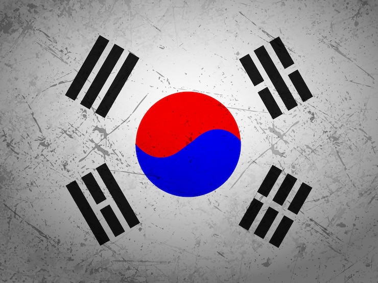 Vettore bandiera grunge della corea del sud