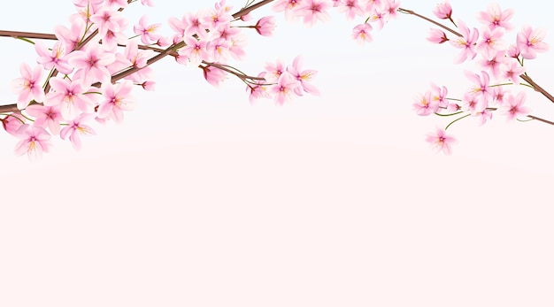 Banner con ciliegio in fiore in primavera. Sakura giapponese