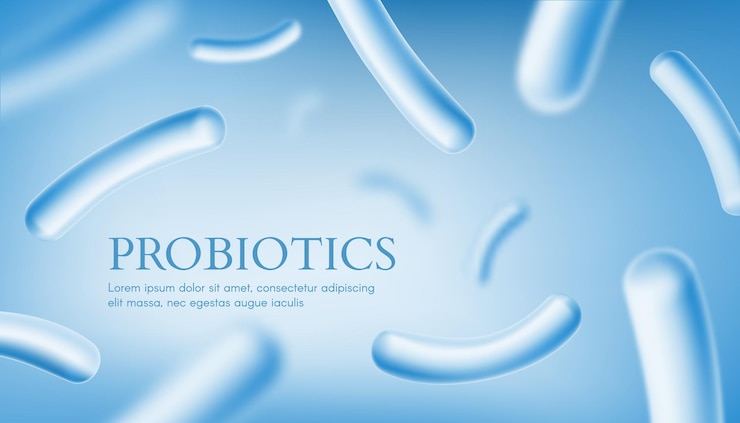 Vettore banner del microbiota intestinale della coltura dei probiotici