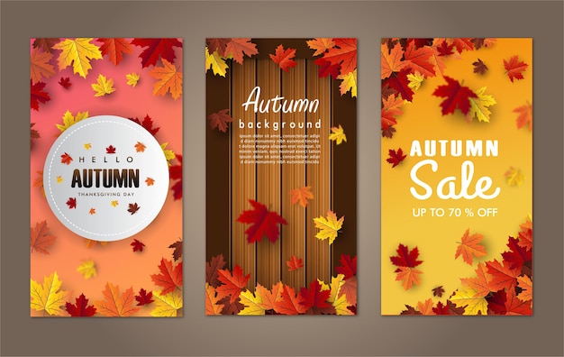 banner foglia d'acero autunnale