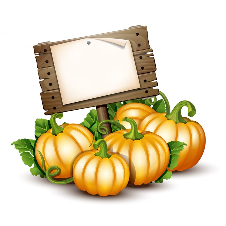 Vettore banner in legno con zucche arancioni. illustrazione autumn harvest festival o il giorno del ringraziamento. verdure ecocompatibili.