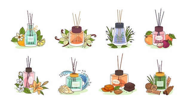Bastoni di canna diffusore tipi di profumi bottiglie di vetro aromatizzate con agrumi spezie orientali frutta fresca erba e fragranze gourmand note fiori profumi acquatici e legnosi set di illustrazioni vettoriali