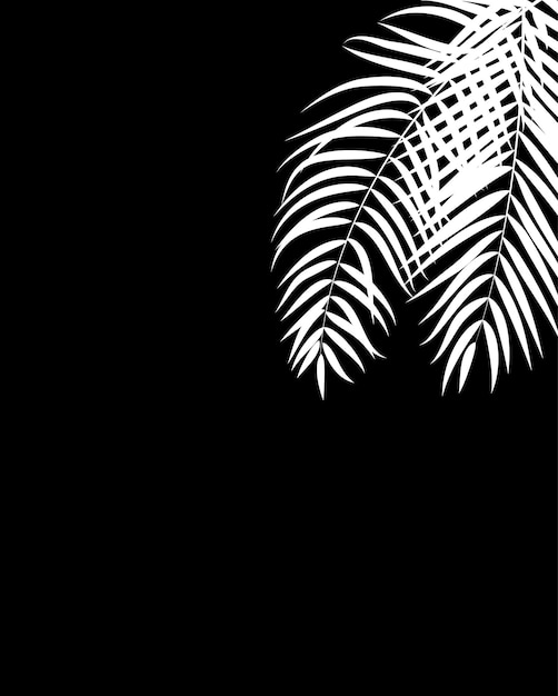 Beautifil Palm Tree Leaf Silhouette Background Vector Illustrat