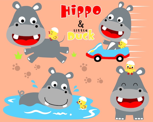 Bel set di cartoon ippopotamo