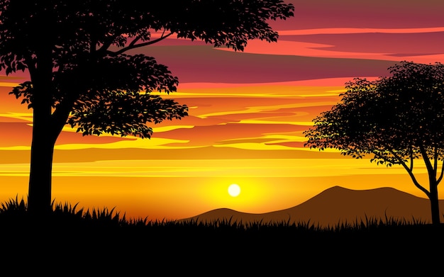 Bel tramonto nella savana con alberi