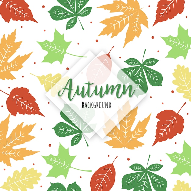 Bella autunno colorato foglie sfondo