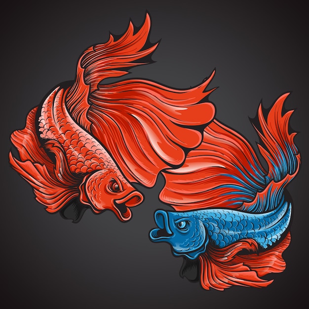 Bella azione halfmoon betta fish logo illustrazione