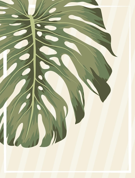 Bella carta monstera