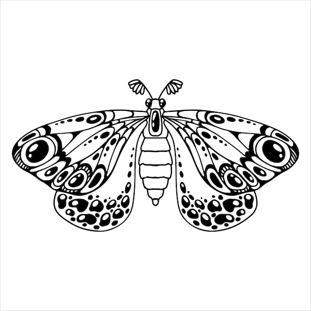 Bella farfalla Insetto stilizzato decorativo disegnato a mano con ali nere Scarafaggio illustrazione vettoriale su sfondo bianco