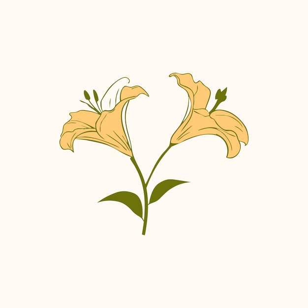 bella illustrazione colorata del fiore di giglio