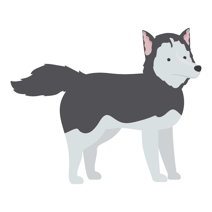 Vettore bella illustrazione di un cane husky siberiano in piedi