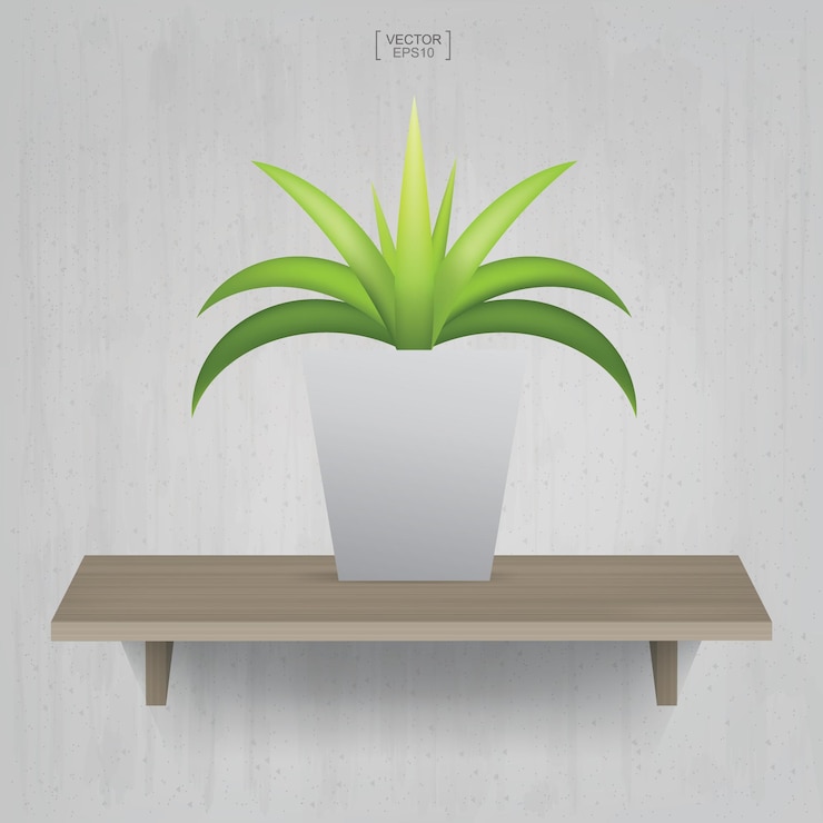 Vettore bella pianta della decorazione in vaso di fiori sul fondo di legno dello scaffale. idea per l'interior design e la decorazione. illustrazione vettoriale.