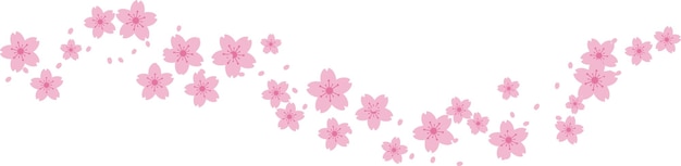 Bella rosa Sakura Cherry Blossom illustrazione