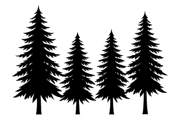 Vettore bellissima illustrazione vettoriale dell'albero di pino