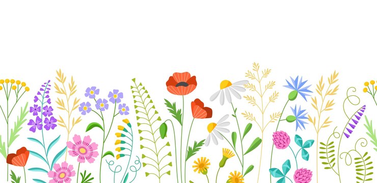 Bellissimi fiori di prato Campo estivo erbe primaverili erbe in fiore sfondo ripetuto piante decorative selvatiche vettore bordi senza giunture