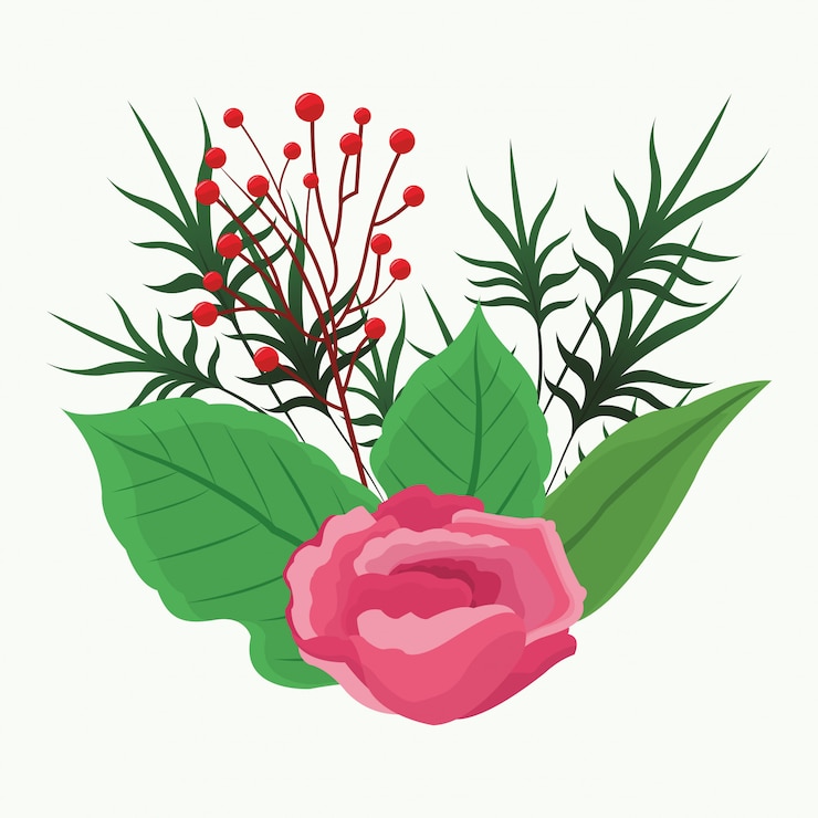 Vettore bellissimi fiori rosa