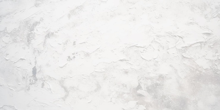 Vettore bellissimo bianco grigio astratto grunge stucco decorativo parete sfondo