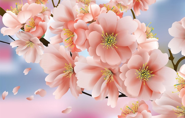 Bellissimo concetto di fiori di ciliegio