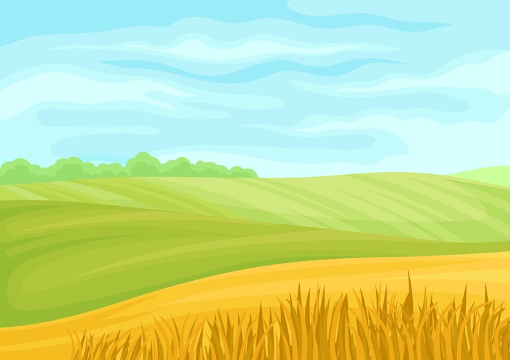 Vettore bellissimo paesaggio di campi verdi e gialli illustrazione vettoriale su sfondo bianco
