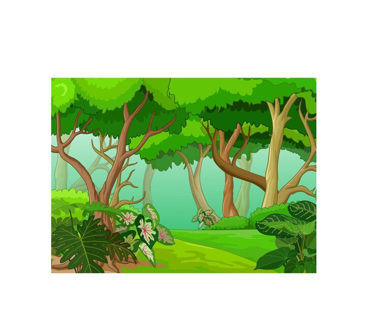 bellissimo parco