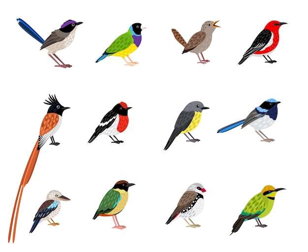 Bellissimo set di uccelli in volo. Personaggi dei cartoni animati esotici del cielo con un simpatico piumaggio colorante, illustrazione vettoriale di uccellini con becco e piume isolati su sfondo bianco