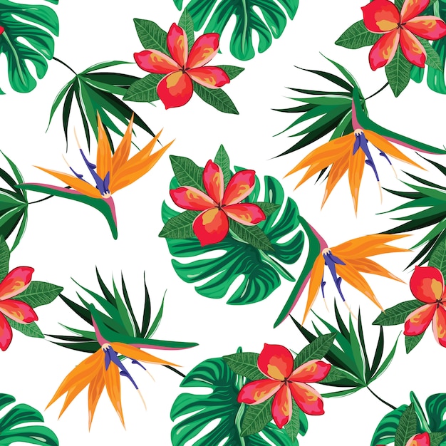 Bello modello di vettore senza cuciture con i fiori tropicali
