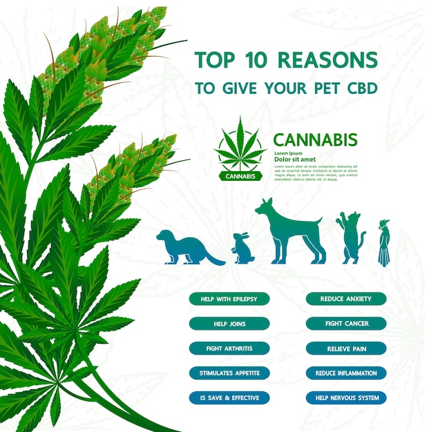 Benefici della cannabis per l'illustrazione vettoriale della salute degli animali domestici