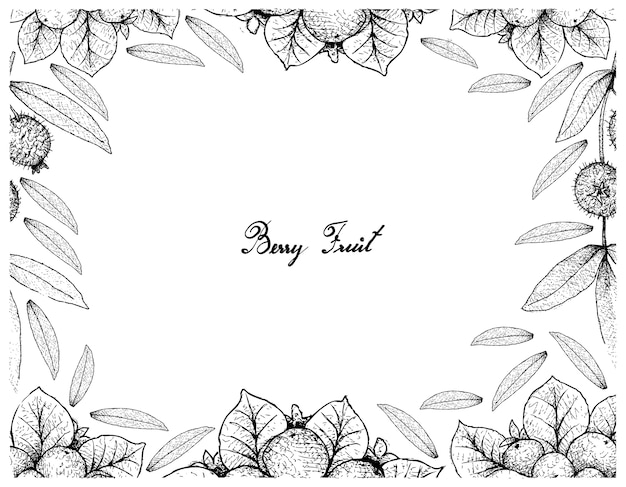 Berry Fruit Illustration Frame of Hand Drawn Sketch