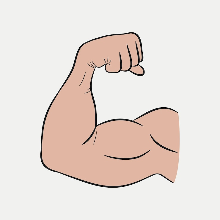 Bicipiti mani, braccio forte, muscoli allenati. Illustrazione vettoriale.