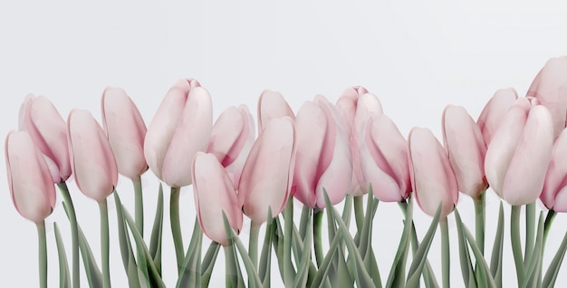 Biglietto d&#39;invito compleanno tulipani rosa