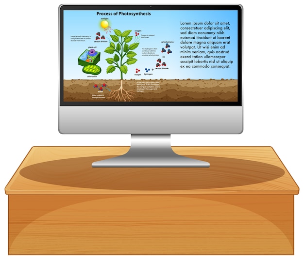 Biologia sullo schermo del computer