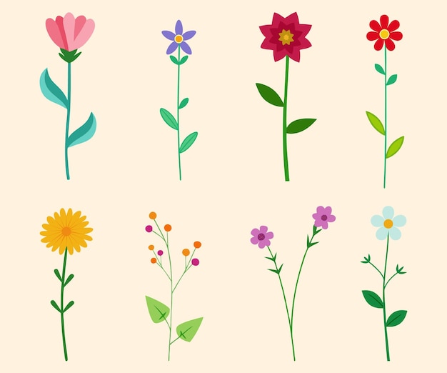 Blossom Botanical Decorative Wildflower Outline Collection Disegno Elegante fiore piatto disegnato Bundle