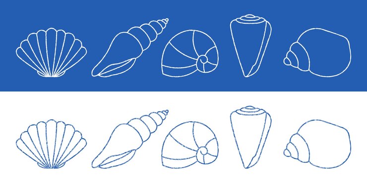 Vettore blue and white seashell outlines chalk crayon pencil texture scallop conch nautilus spiral