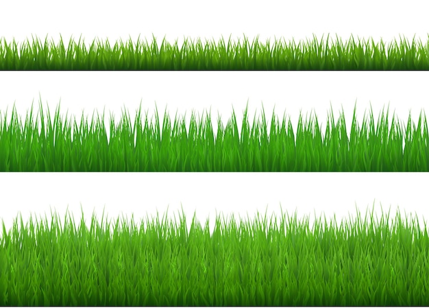 Bordi di erba verde impostati su sfondo trasparente Illustrazione vettoriale