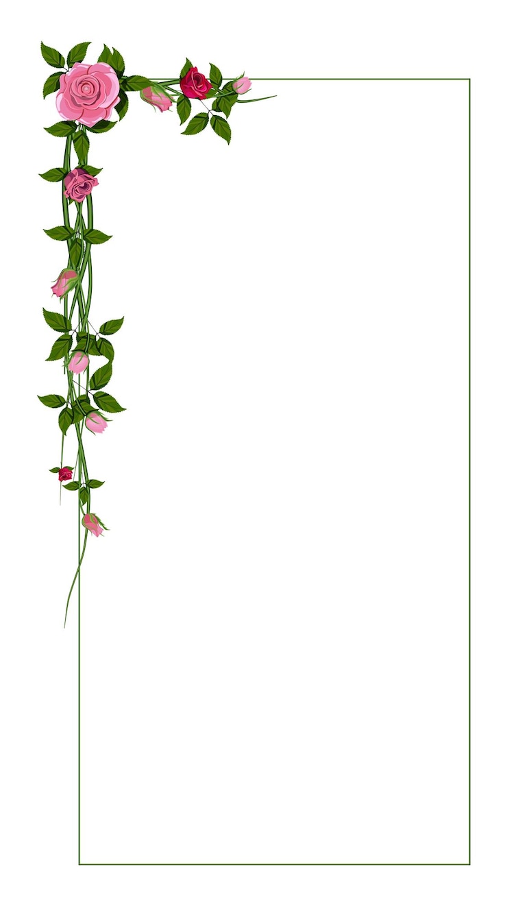 Vettore bordo del telaio del fiore della rosa rossa isolato. illustrazione vettoriale