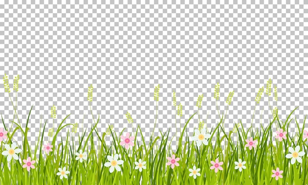 Bordo di erba e fiori di primavera, illustrazione isolato su sfondo trasparente