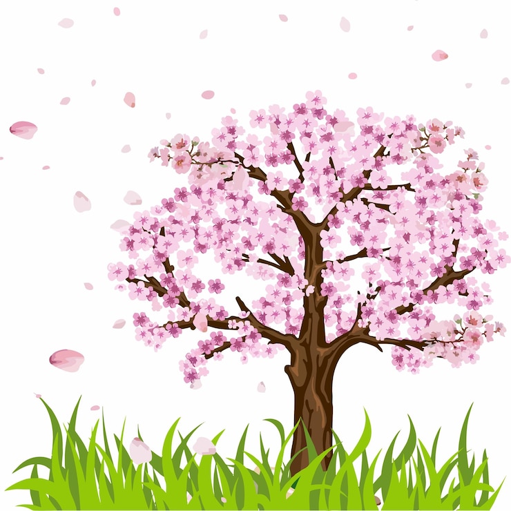 Vettore bordo di illustrazioni di erba e fiori di ciliegio