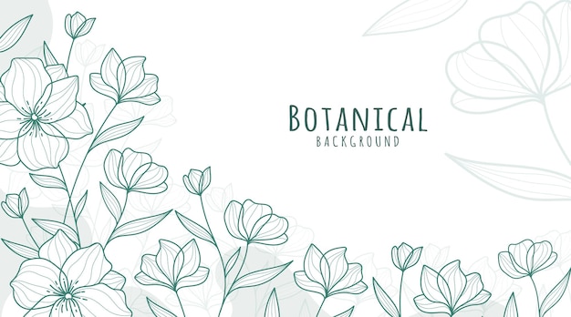 Botanical Line Art Background Sfondo botanico Sfondo di foglie e fiori