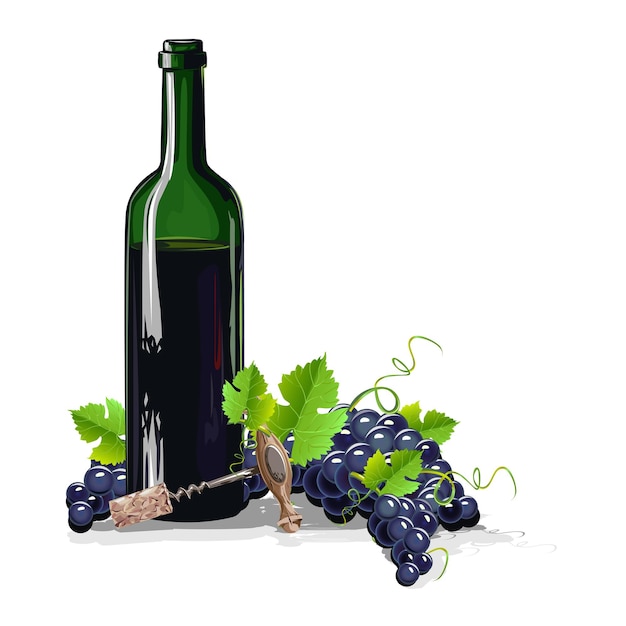 bottiglia di vino con grappoli d'uva