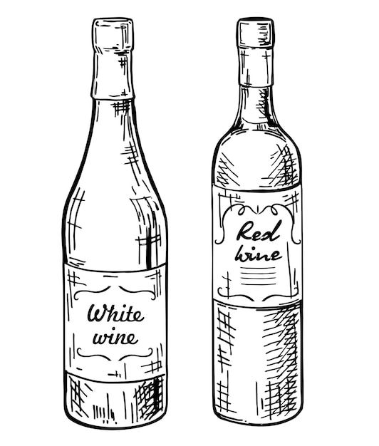 Bottiglie con schizzo di vino bianco e rosso Bottiglie di vino Vettore di disegno a mano di vini diversi
