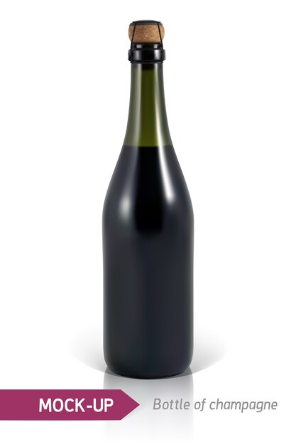 Bottiglie di champagne