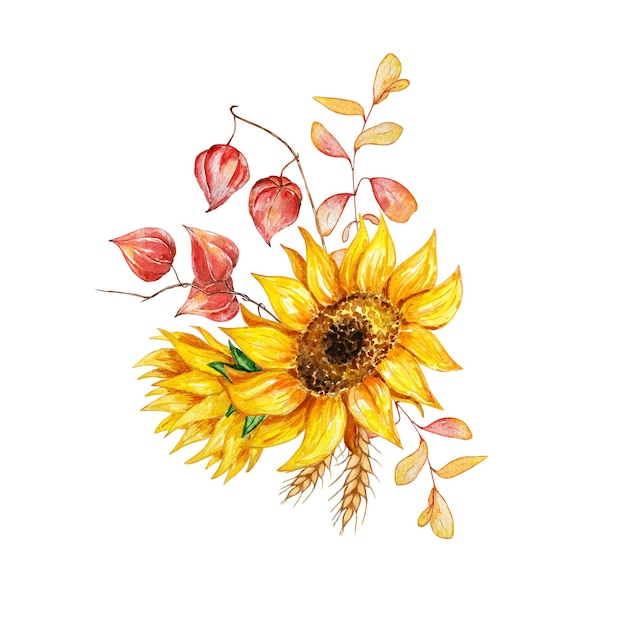 Bouquet acquerello, illustrazione botanica, composizione autunnale, da fiori, girasoli, foglie autunnali e bacche su sfondo bianco