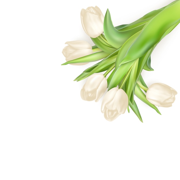 Bouquet di fiori di tulipano bianco