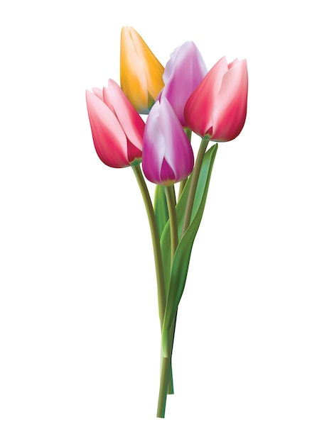 Bouquet di tulipani colorati su un bianco. Illustrazione realistica